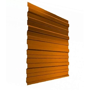 Профнастил С10